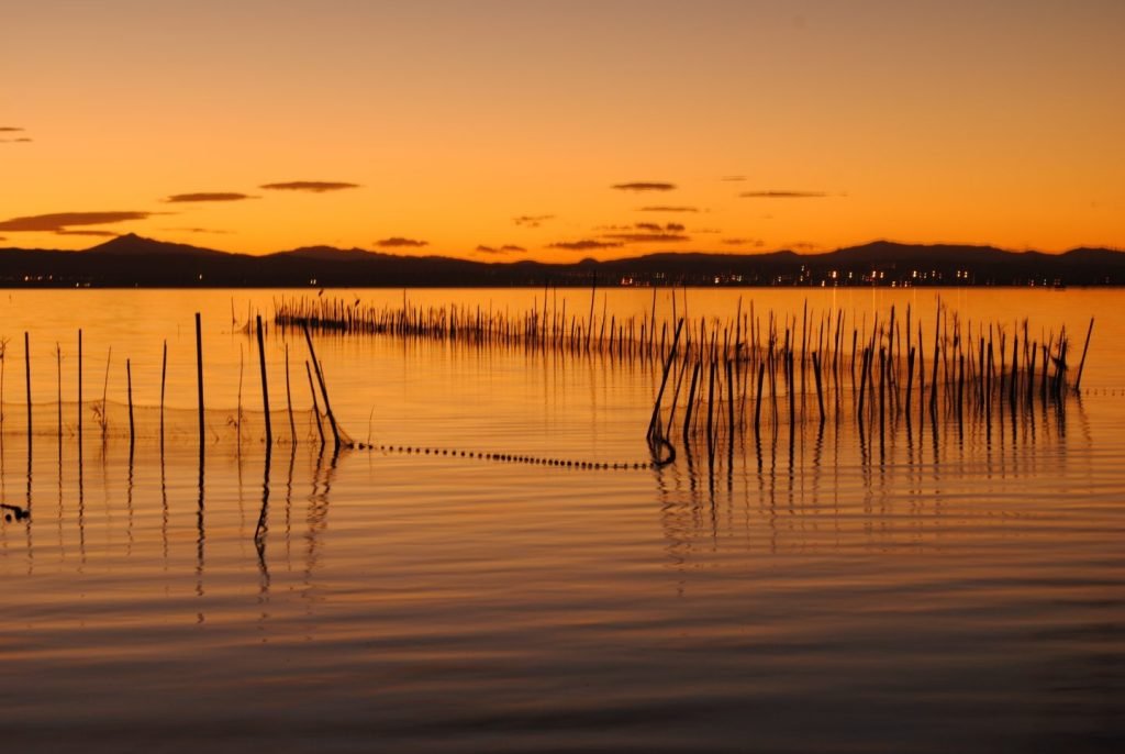 PARQUE NATURAL DE L´ALBUFERA VALENCIA ESPANA
