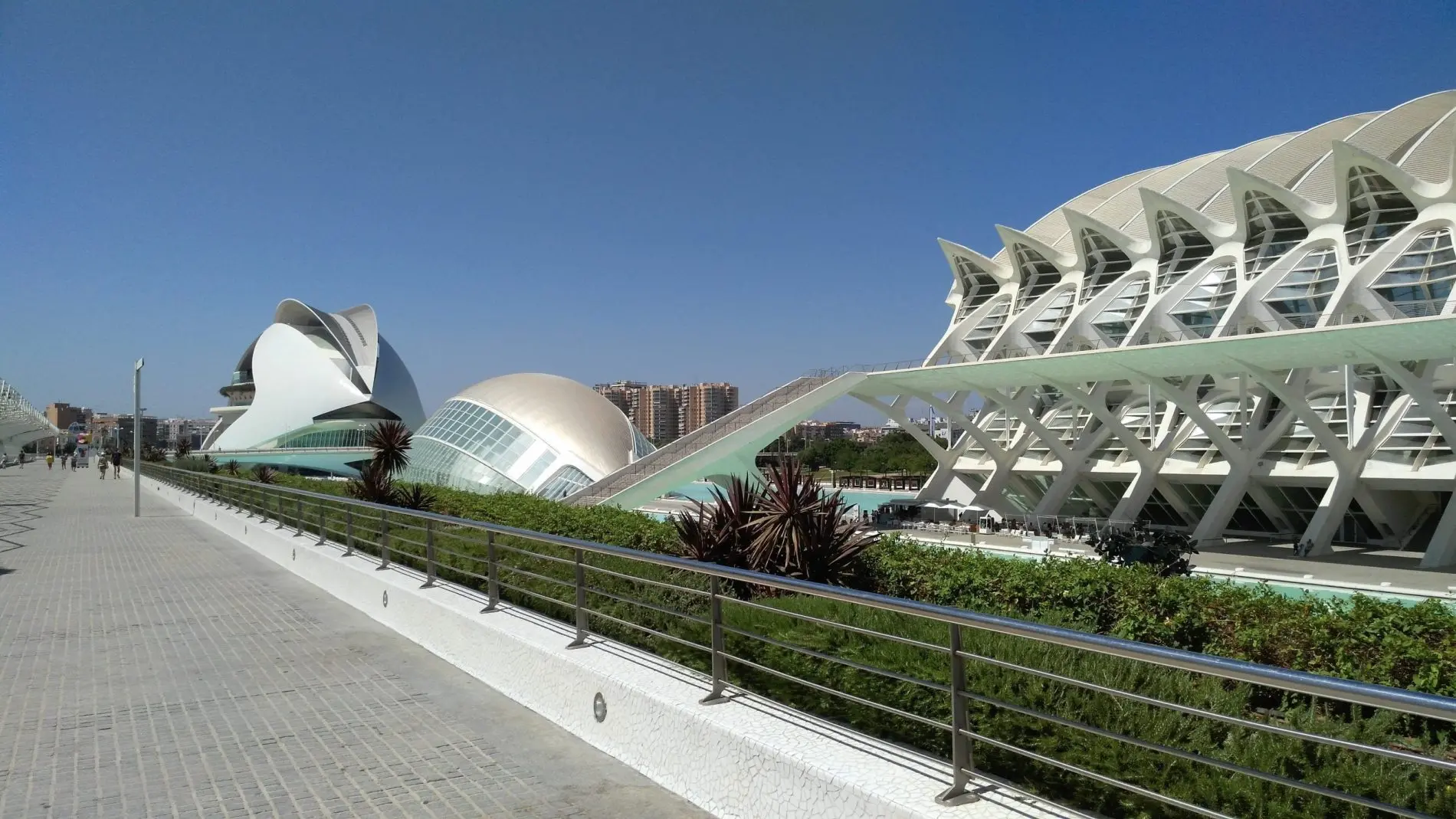 Ciudad de las Artes y las Ciencias en Valencia - WINE GOGH