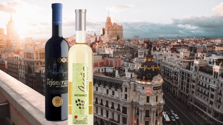 beber vino en Madrid