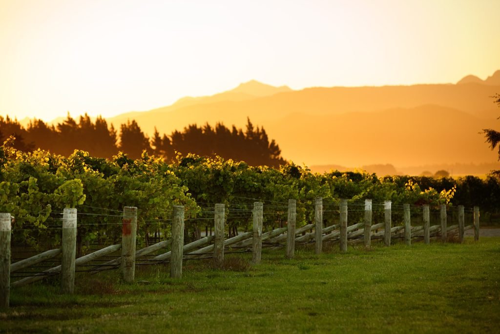 1608756918 new zealand region marlborough wairau 1