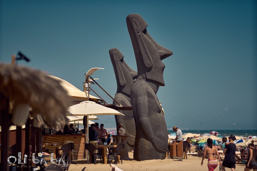 197237394 4259031127494410 8472915928293536753 n