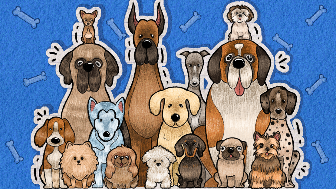 Día del Perro: descubre 4 museos 1 Día del Perro