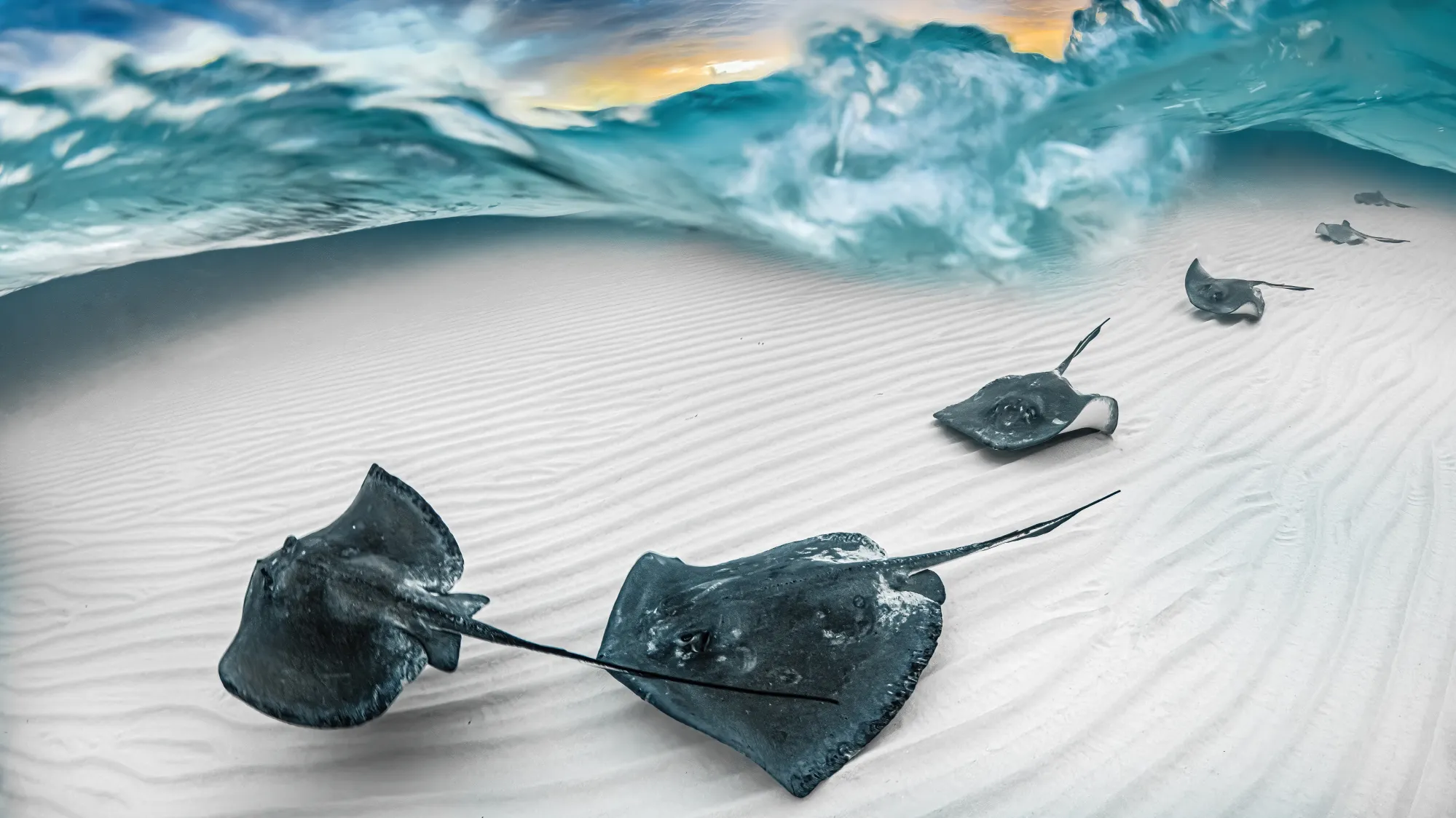 Mejores fotografías de 2023