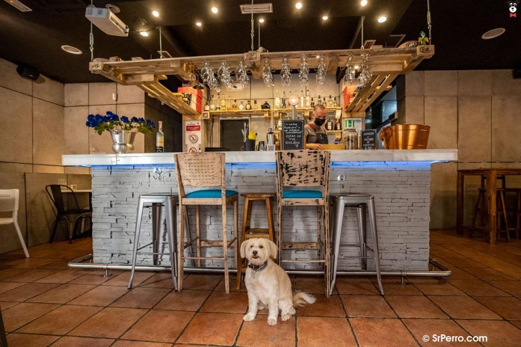 f5fc1a4a efb4 4781 bd15 6825370885e9.original