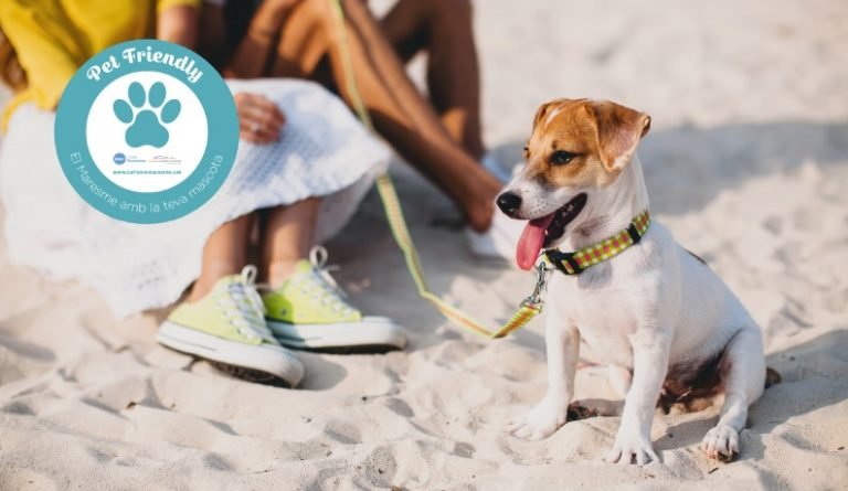 sitios Pet Friendly en Barcelona