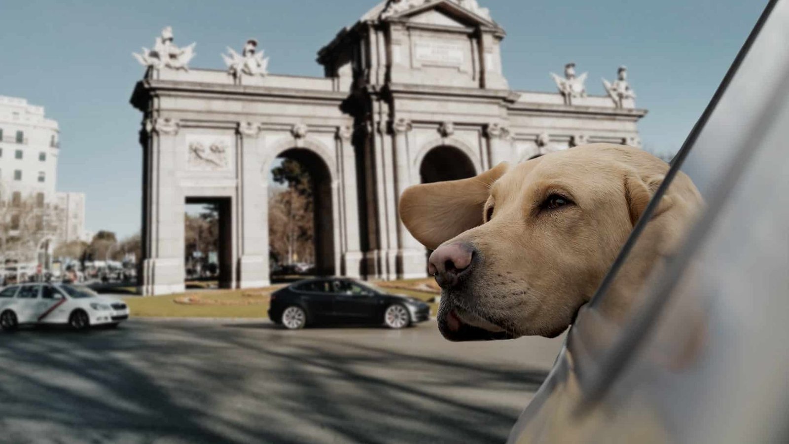 Ciudades Pet Friendly en España