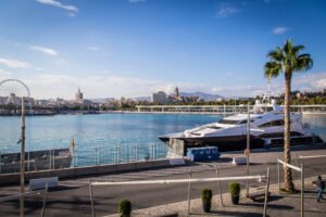 Como ligar en Malaga; Top 7 Lugares 2 Wine Gogh