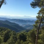 Qué ver en Málaga; Top 10 Lugares memorables 4 Wine Gogh