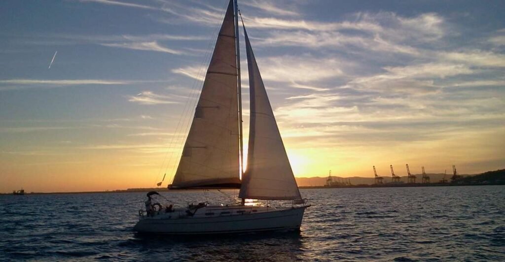 Explorando un Atardecer en Barcelona: Top 5 19 Wine Gogh