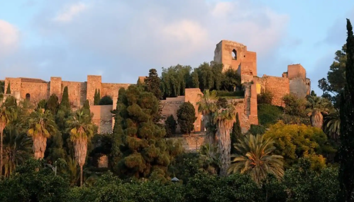 Qué ver en Málaga en un día: Próximamente Wine Gogh 24 horas 3 Wine Gogh