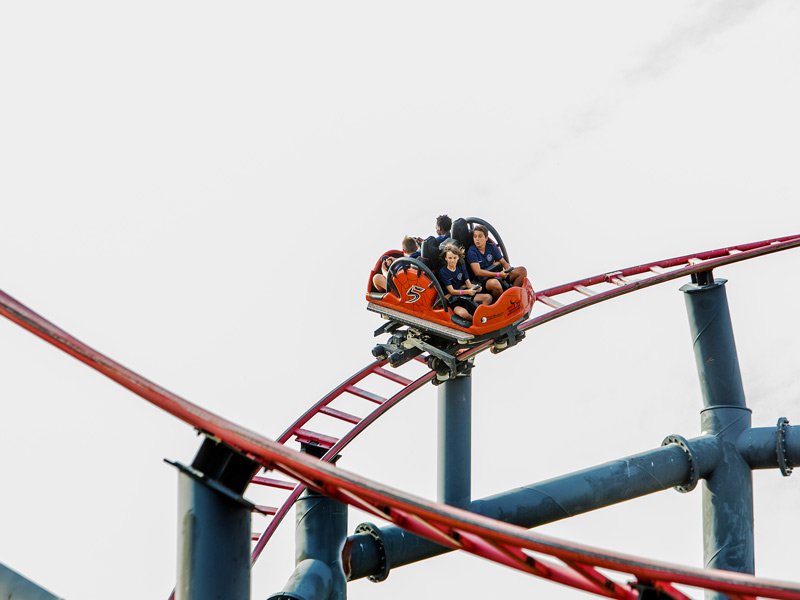 Parque de Atracciones Madrid: 6 Razones para Visitar 2 Wine Gogh