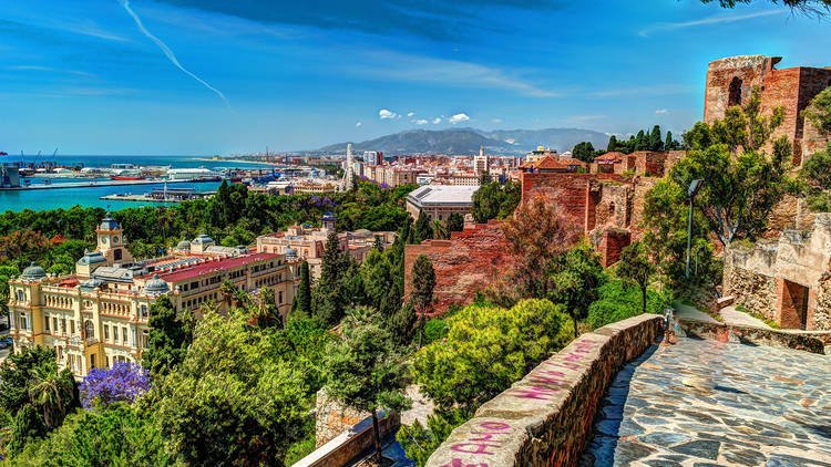 Qué ver en Málaga en un día: Próximamente Wine Gogh 24 horas 2 Wine Gogh