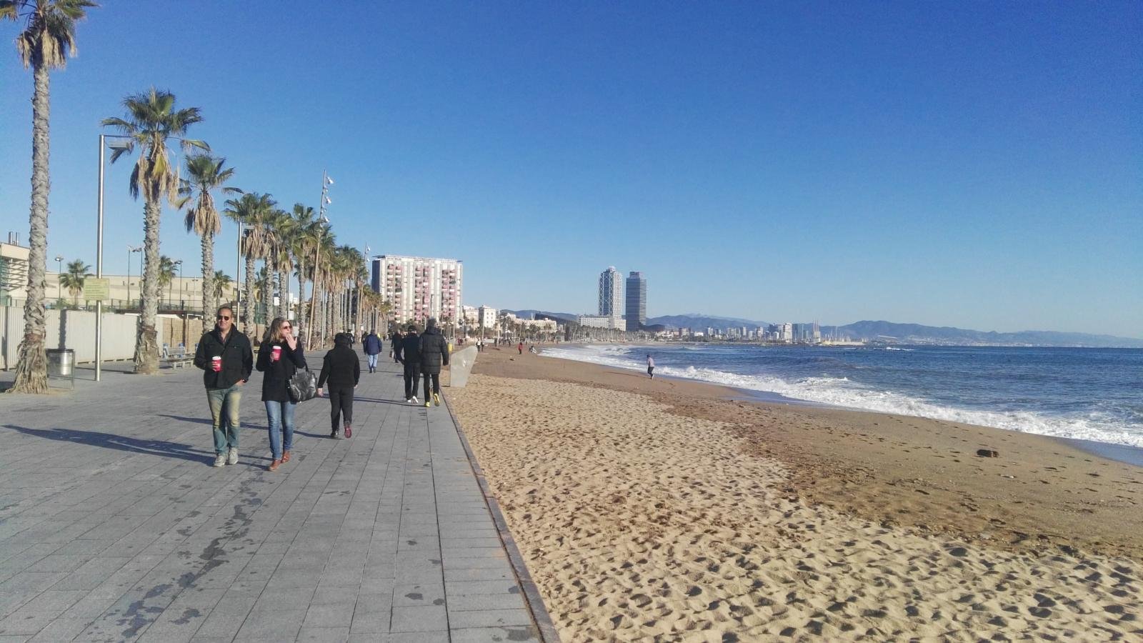 6 Sitios Donde Correr en Barcelona 3 Wine Gogh