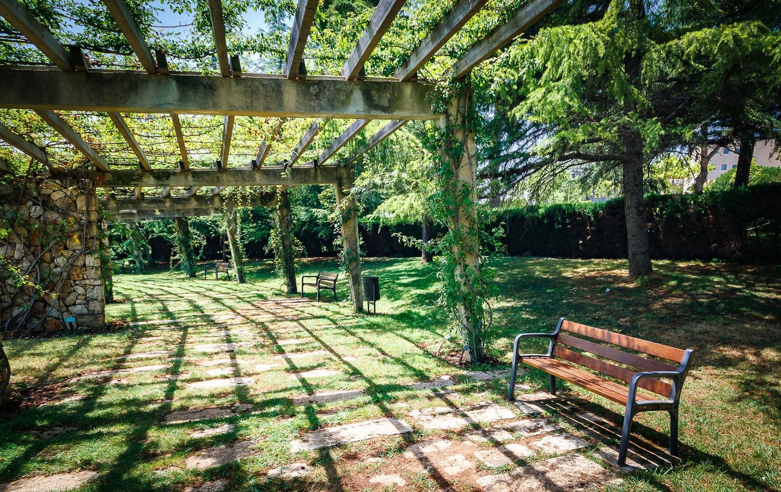 1 Día Perfecto: Parques en Barcelona y Creatividad en Wine Gogh 8 Wine Gogh