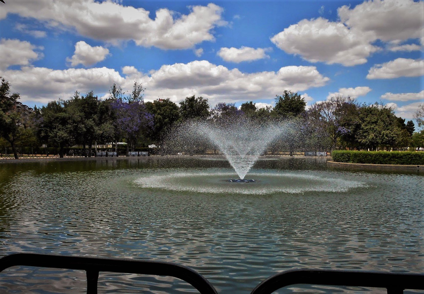 5 Parque Infantil y Wine Gogh en Sevilla 4 Wine Gogh