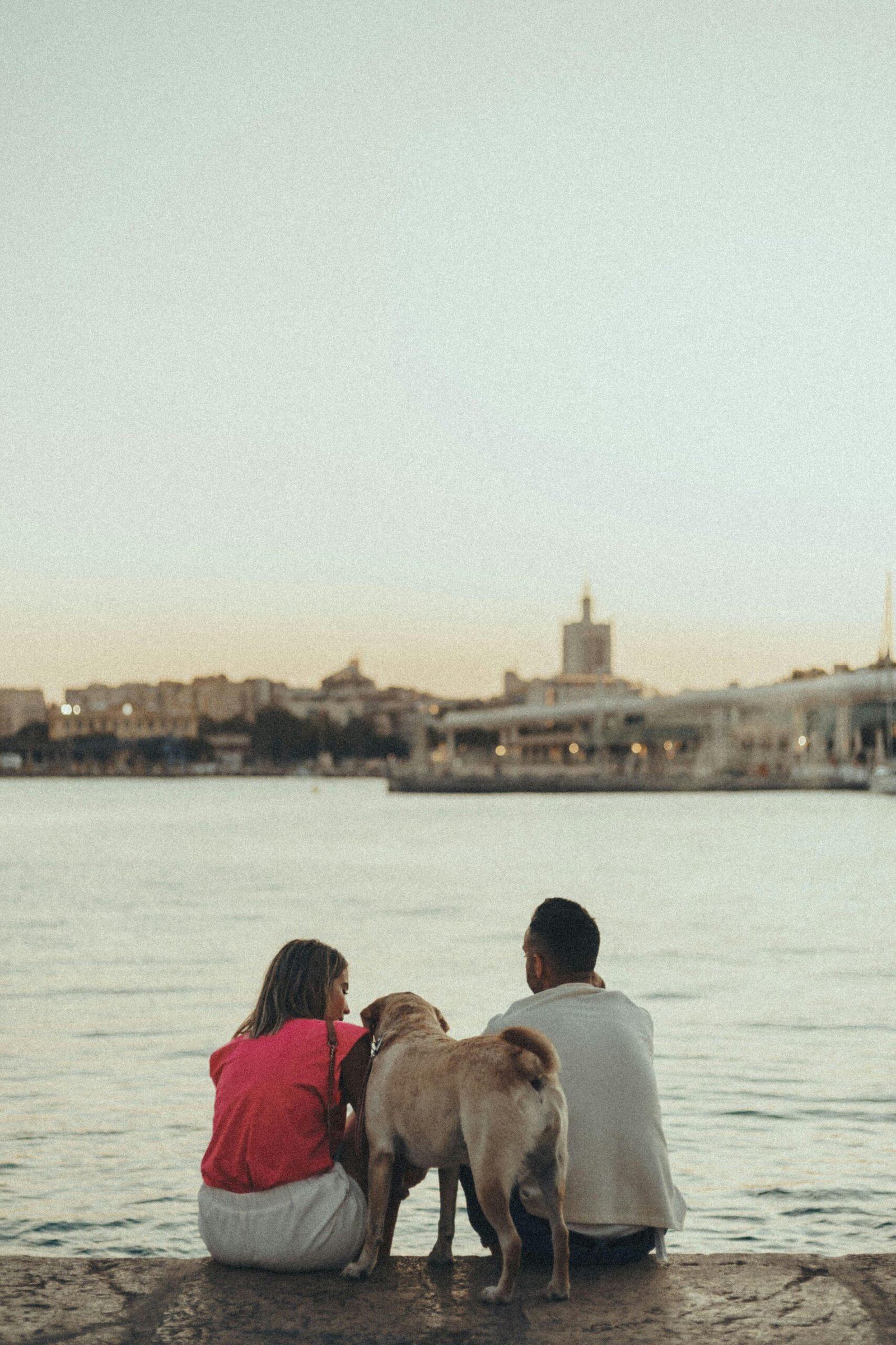 Planes Malaga; Descubre las Mejores Actividades en Málaga Top 7 7 Wine Gogh