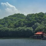 Piscina naturales Madrid; Top 7 7 Wine Gogh