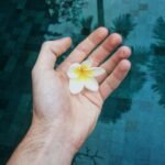 Piscina naturales Madrid; Top 7 5 Wine Gogh