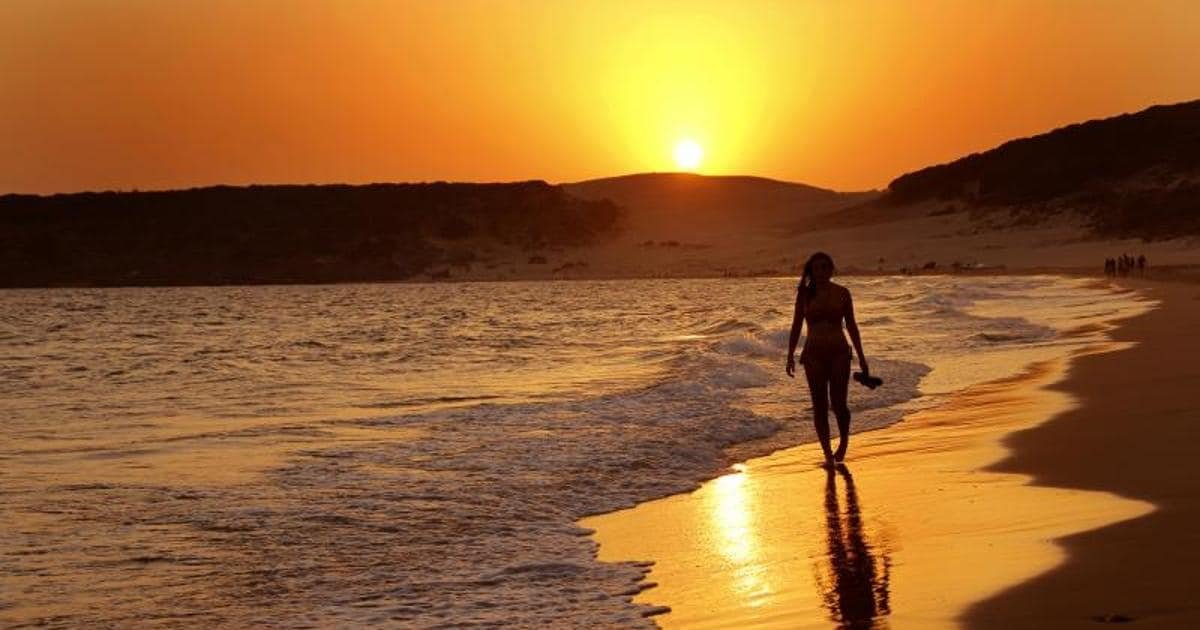 Playas Nudistas en Madrid: 1 Refugio de Naturaleza y Libertad 4 Wine Gogh