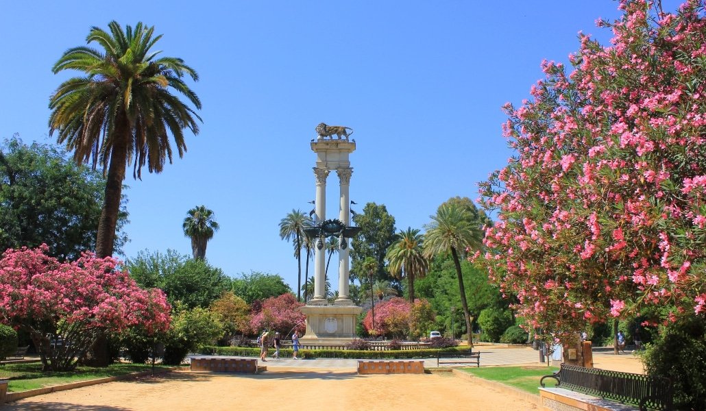 5 Parque Infantil y Wine Gogh en Sevilla 5 Wine Gogh