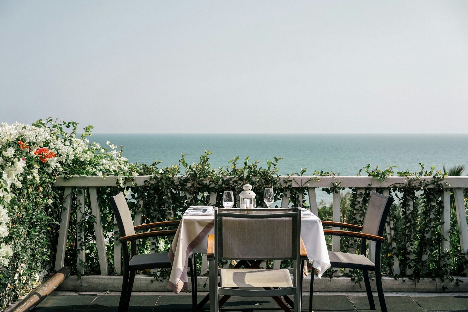 Terrazas Valencia; Descubre las Mejores Terrazas en Valencia para Disfrutar del Sol y la Ciudad Top 5 5 Wine Gogh