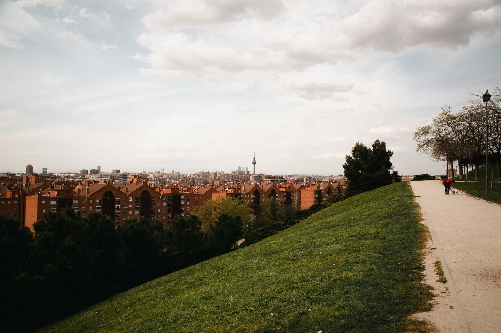 Parque de las Siete Tetas en Madrid: 1 Oasis Urbano con Vistas Increíbles 1 Wine Gogh