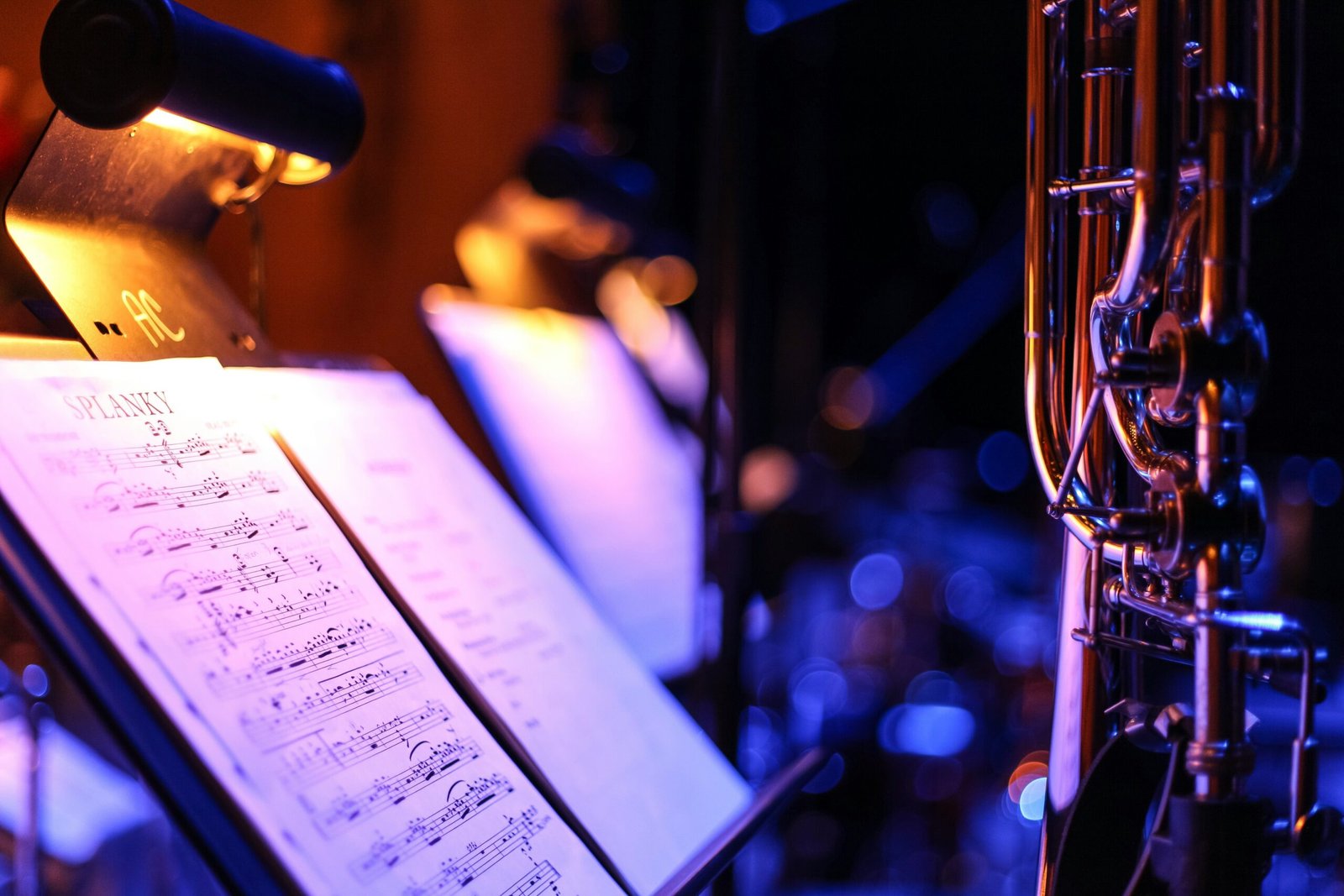 Jazz Barcelona; Explorando la Vibrante Escena Jazzística de Barcelona con 5 Lugares Top Emblemáticos para Disfrutar de Buena Música y Ambiente Único 3 Wine Gogh