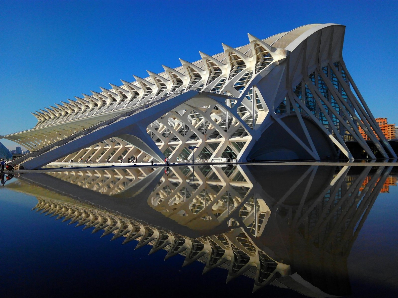 Guía de Actividades en Valencia; 5 Increíbles Actividades para Disfrutar en Valencia: ¡Diversión Asegurada! 2 Wine Gogh