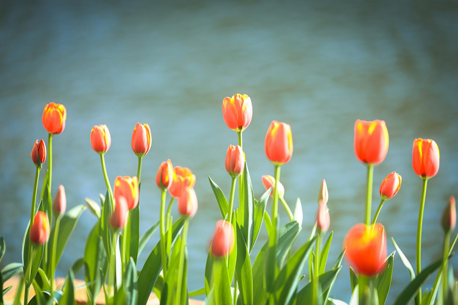 pexels andy lee 222330306 30336960 scaled