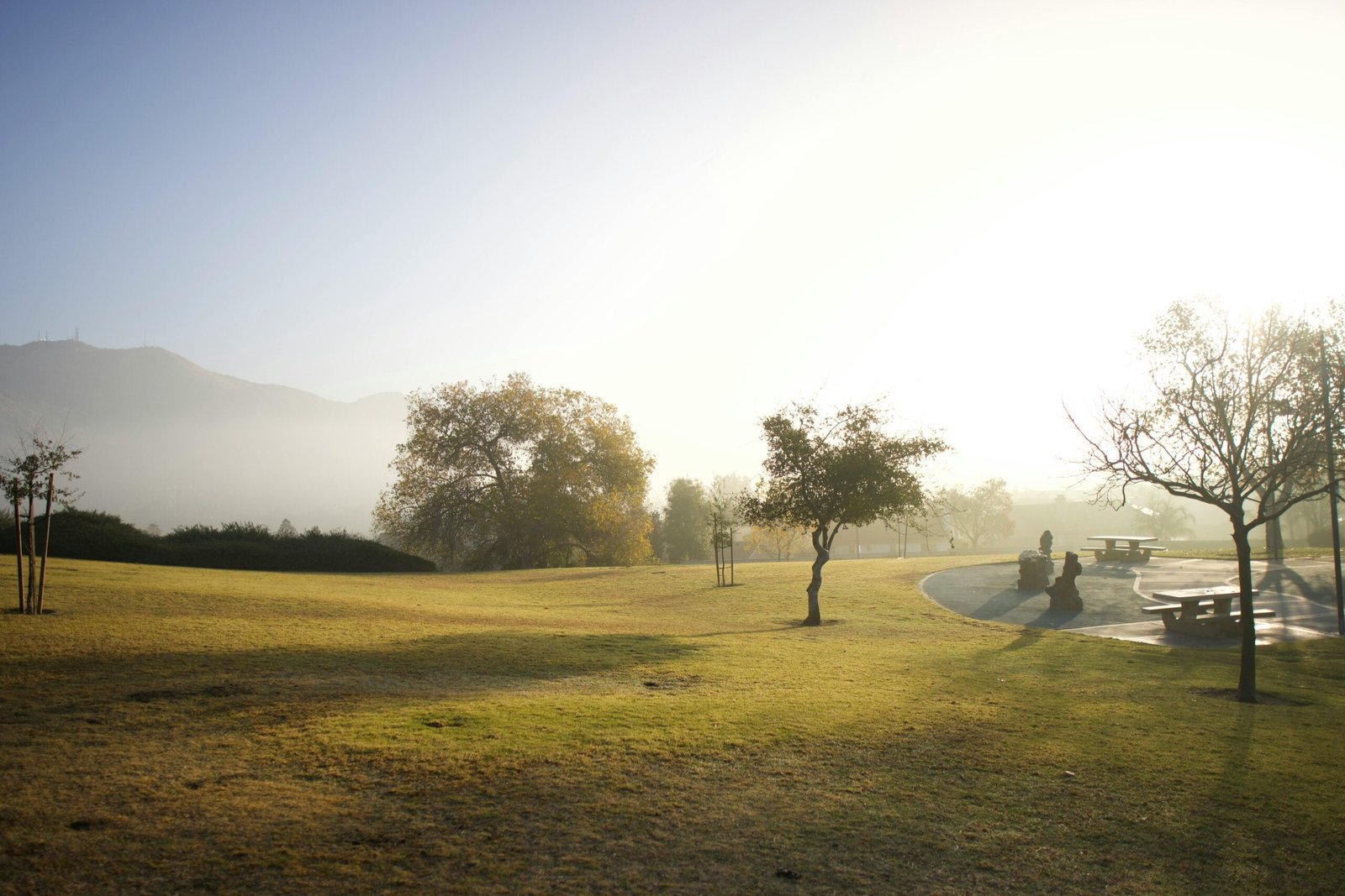 pexels muhammad nadeem 2148014195 30353399 scaled