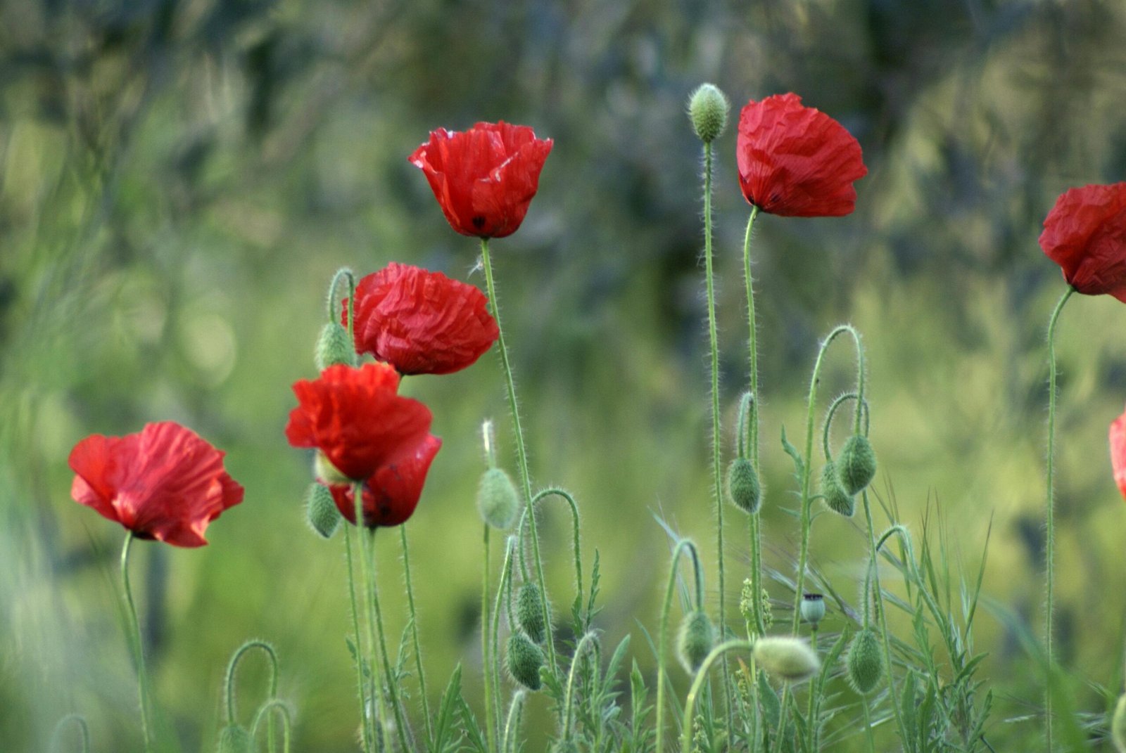 pexels szafran 17832375 scaled