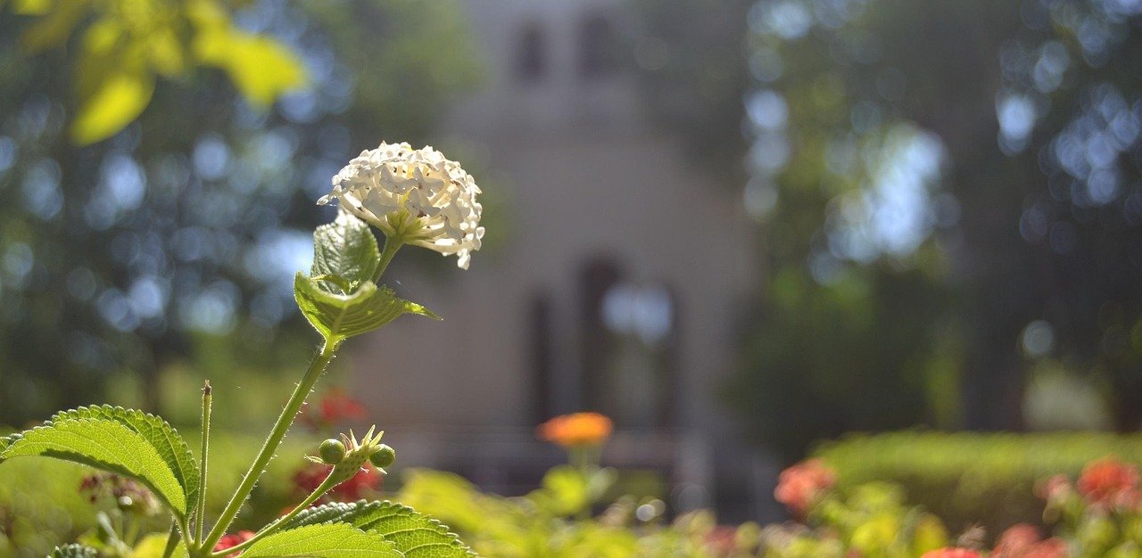 charterhouse 2577647 1280