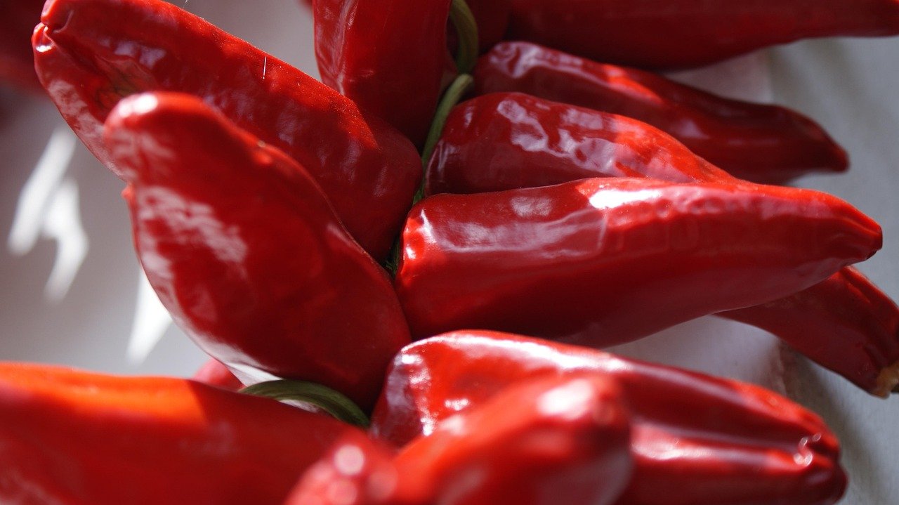 chilli pepper 4698958 1280