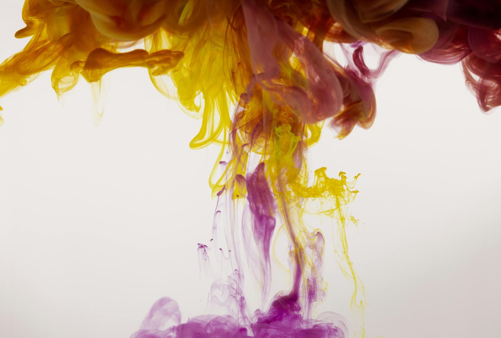 Descubre 5 Experiencias Únicas de Vino y Pintura para una Noche Perfecta en Barcelona 3 Winegogh