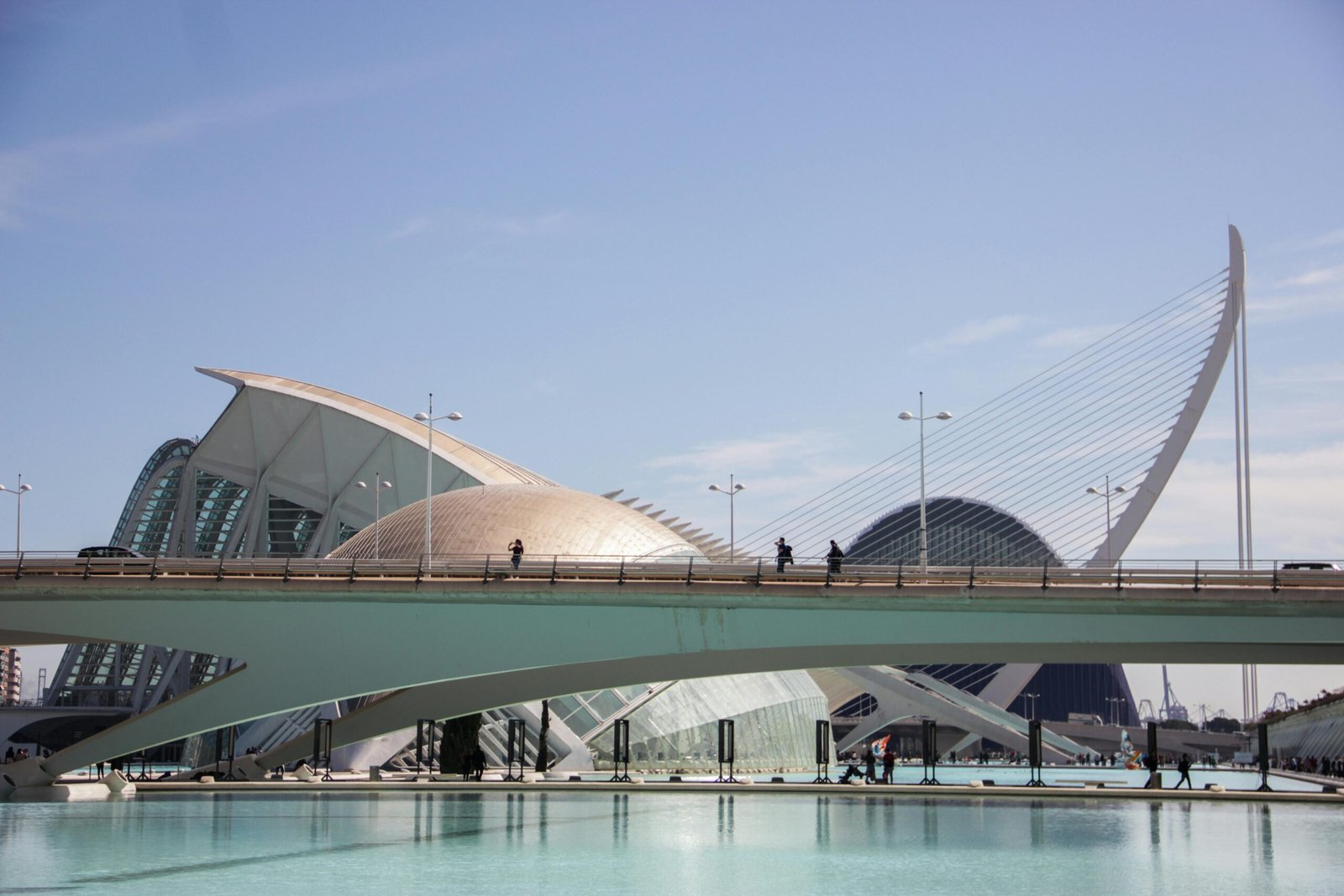 Mejores Opciones Valencia: 5 Actividades Imperdibles para Vivir Valencia al Máximo 3 Winegogh