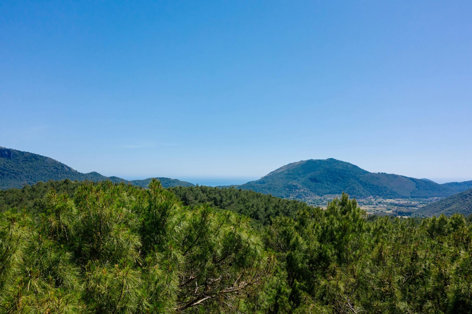 Lugares para desconectar en Malaga: Descubre los 5 Mejores Lugares para Desconectar en Málaga y Renovarte por Dentro 4 Winegogh