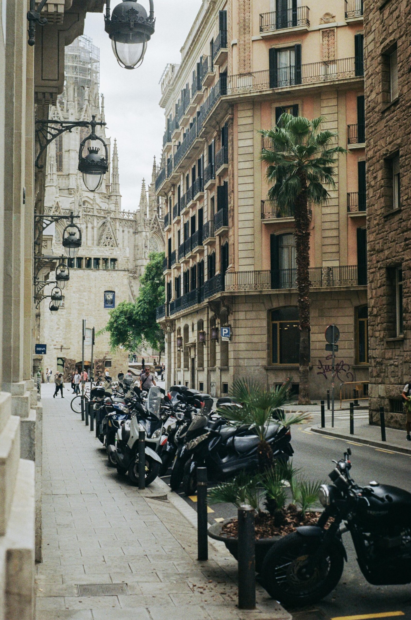 Mejores opciones para hacer en Barcelona: 7 Experiencias Imperdibles en Barcelona para una Visita Inolvidable 5 Winegogh