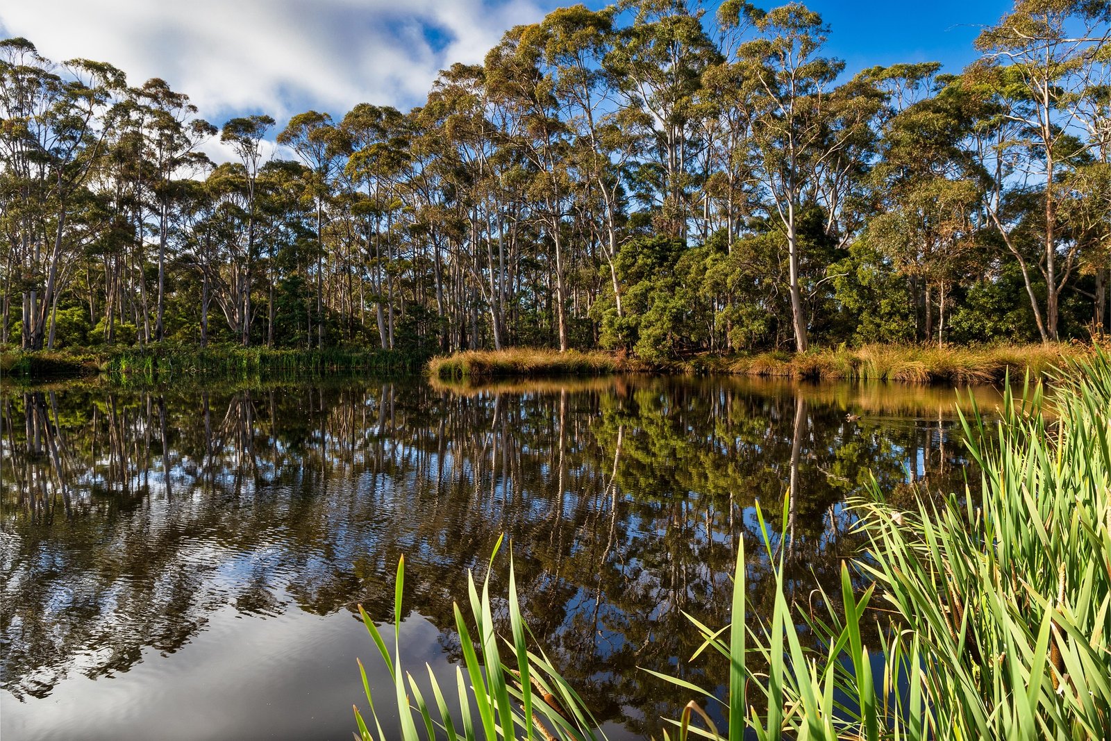 parques cerca de mí en barcelona