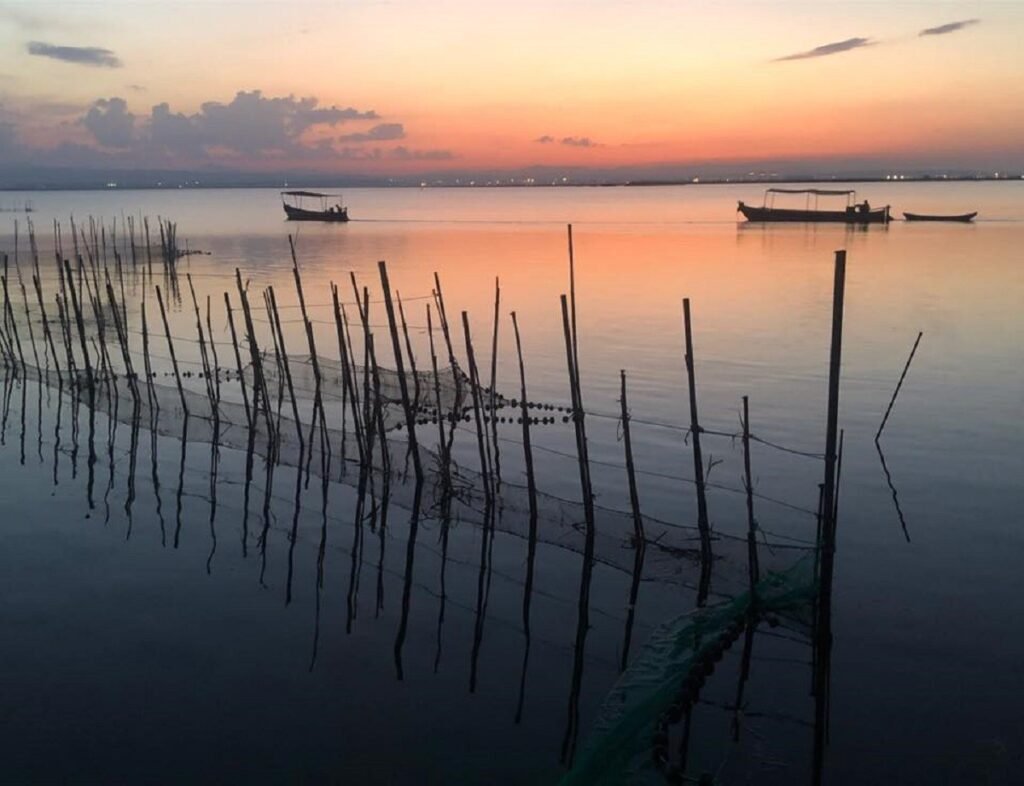 Top 7 de planes en Valencia para disfrutar al máximo 47 atardecer en la albufera de valencia 48779 xl