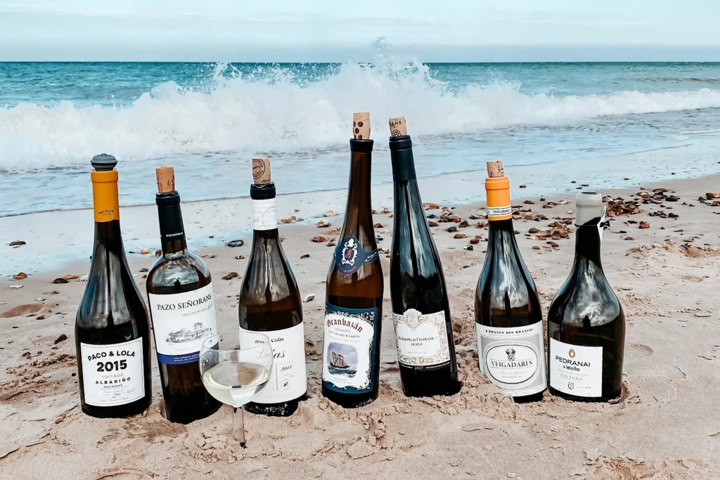 Los Mejores 5 vino blanco Español: 1 Guía Definitiva para los Amantes del Vino Blanco 33 el albarino de las rias baixas