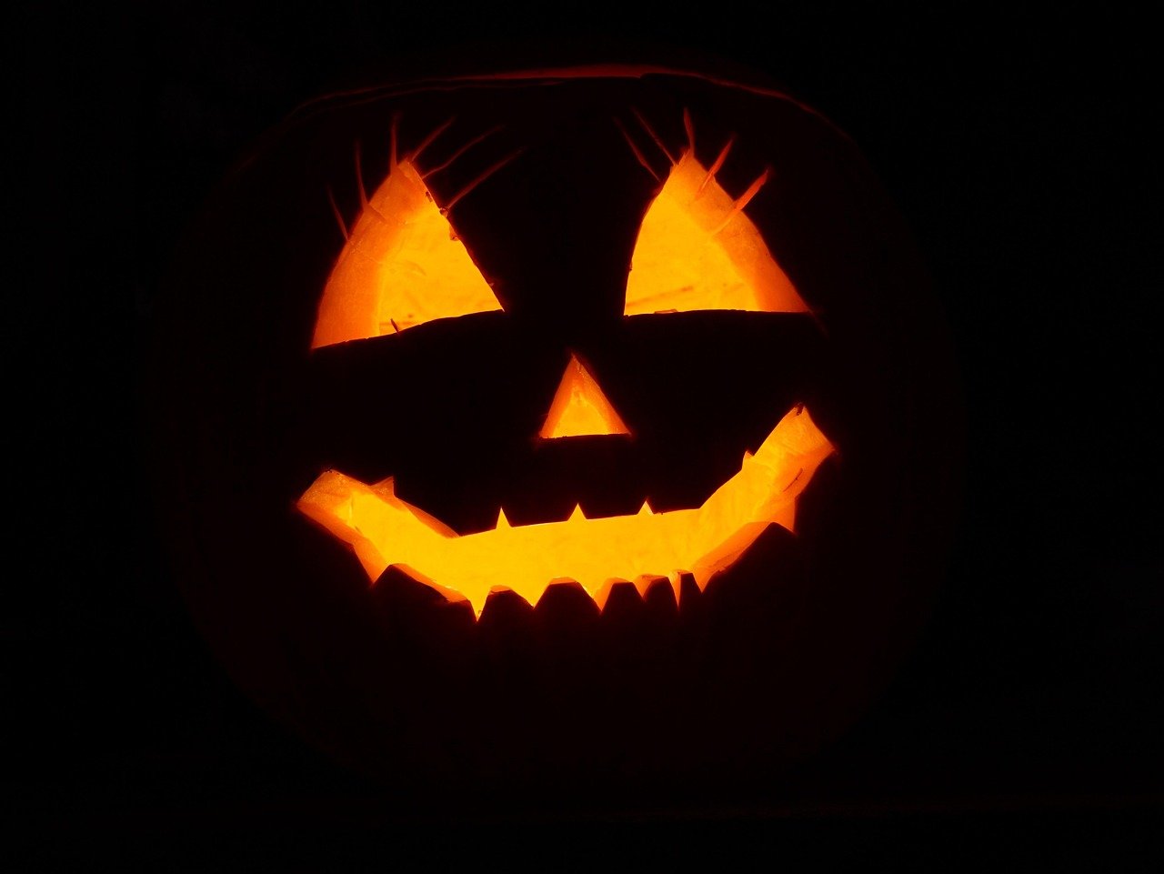 Los 6 Mejores Planes qué hacer en Halloween: Octubre El Mes del Miedo 3 pumpkin 2892303 1280