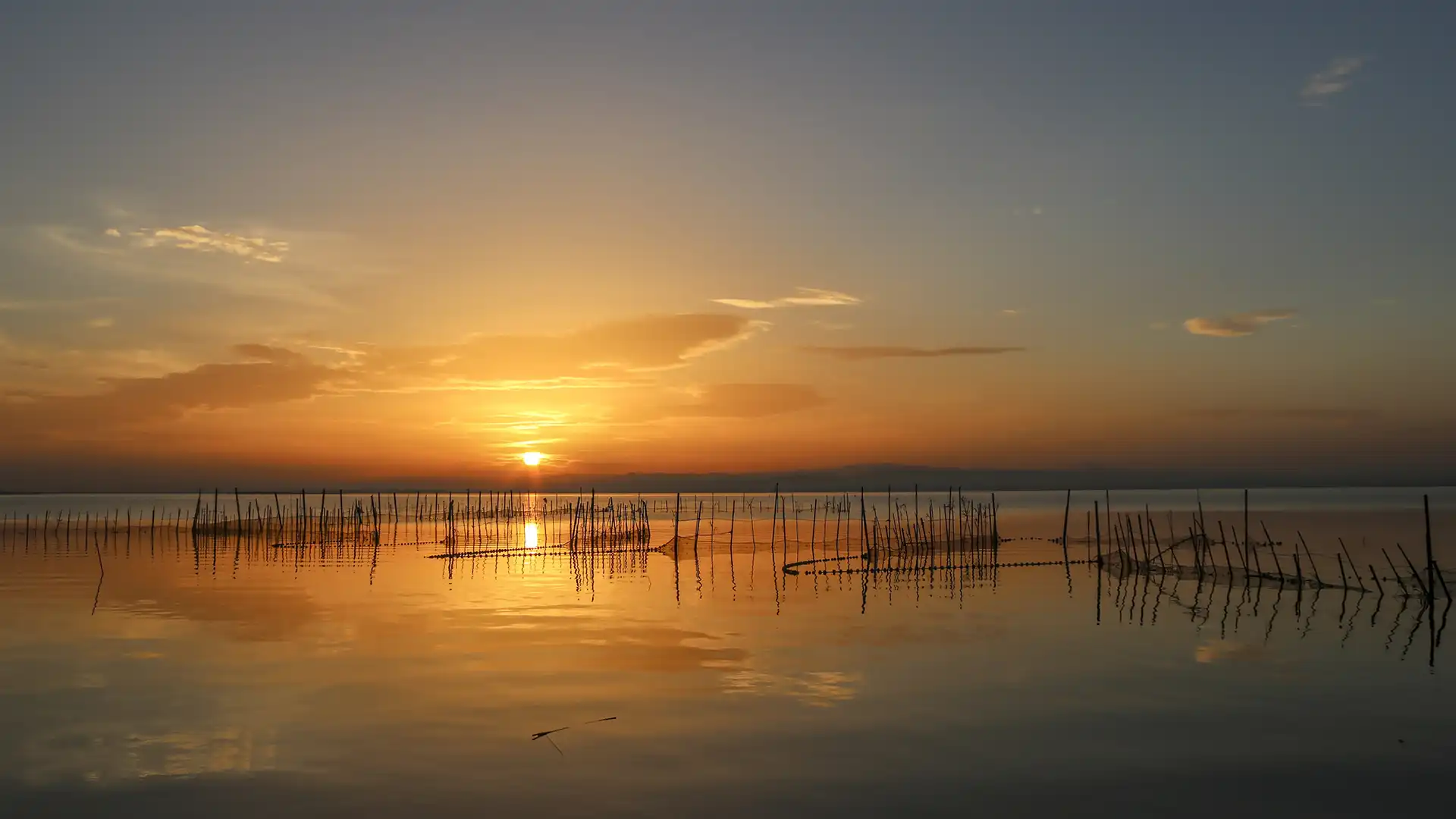 visita guiada albufera valencia