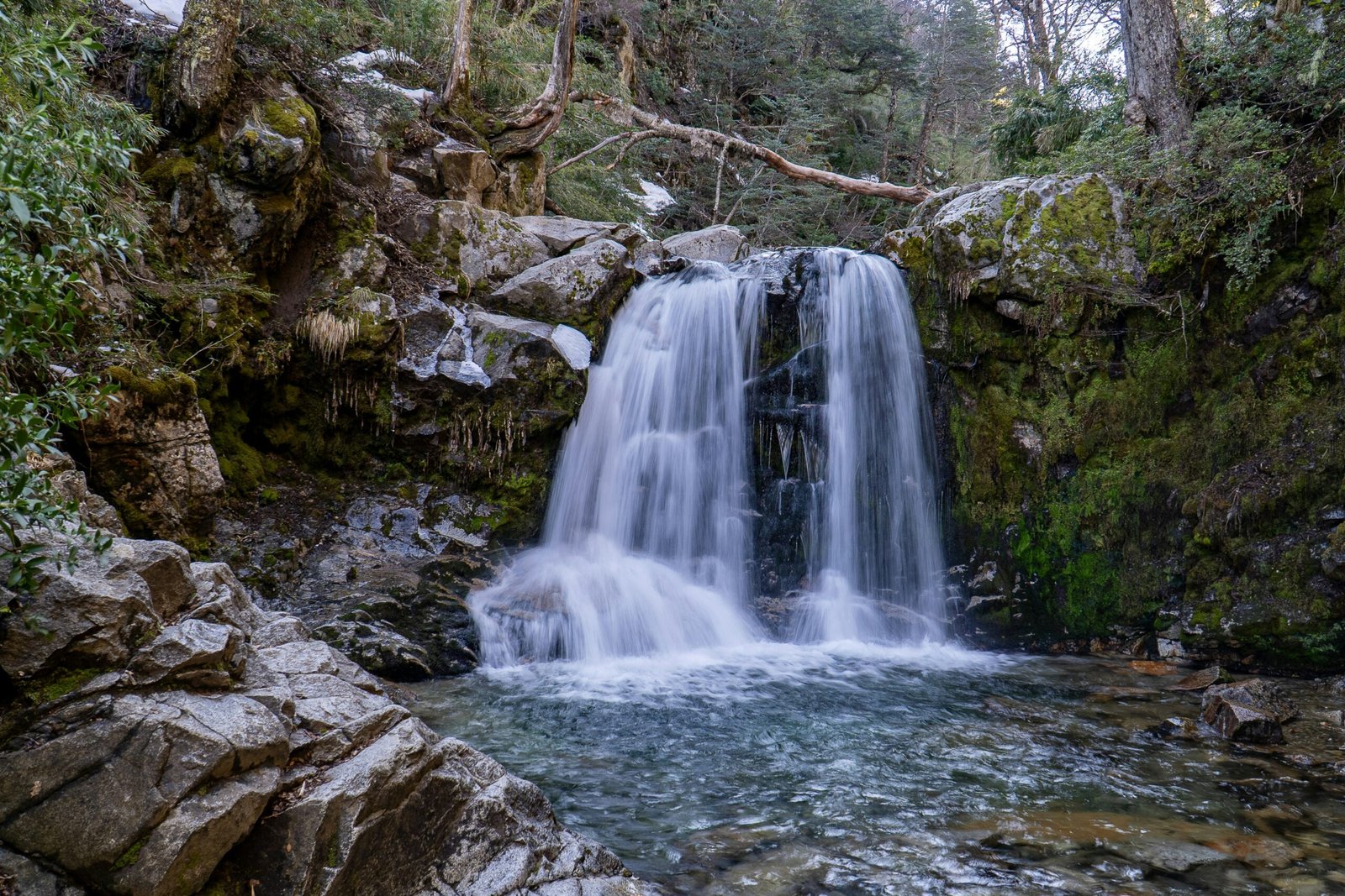 gaston botoshansky 2t11mmEhLSA unsplash scaled