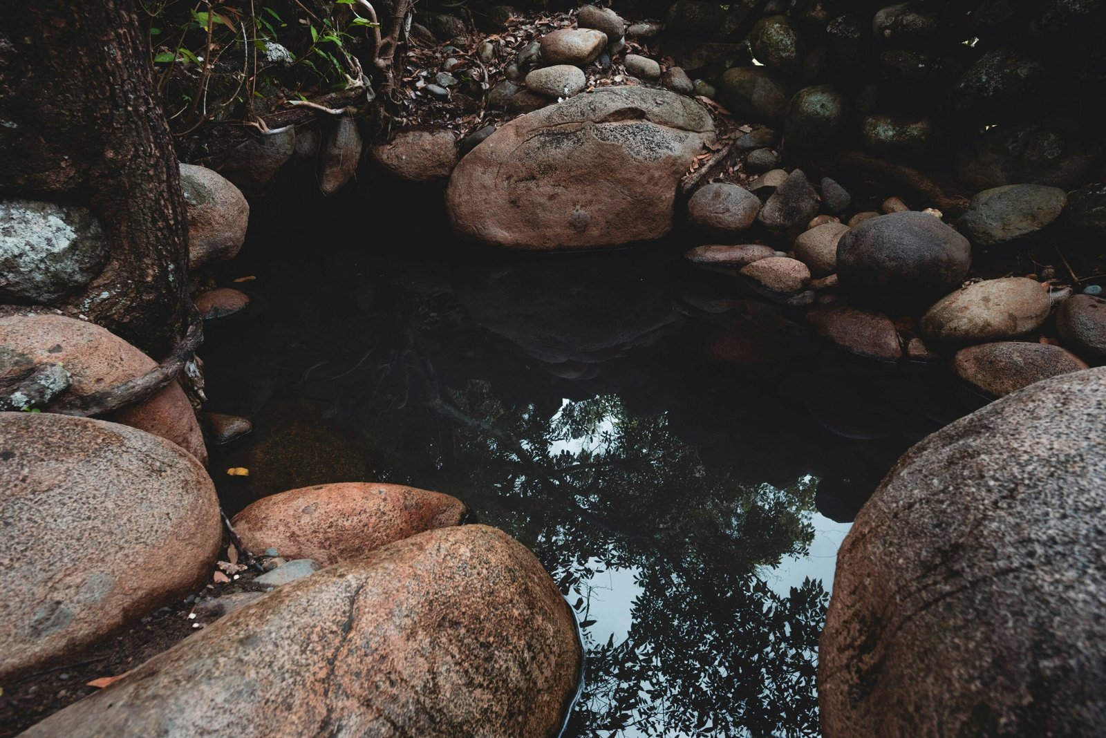 jaunathan gagnon wHj 7XVu6Ac unsplash scaled