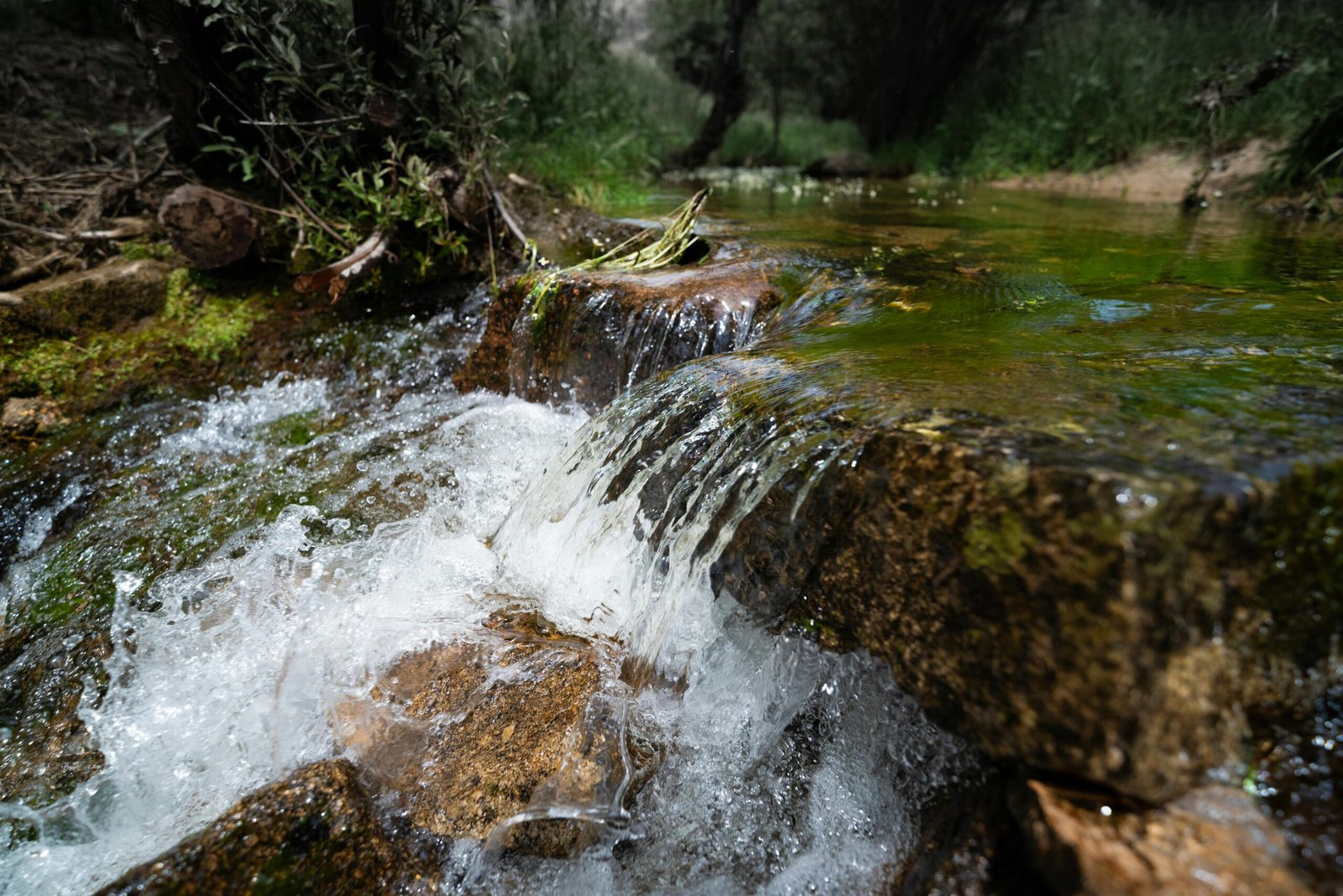 pexels osviel91 32162206 scaled