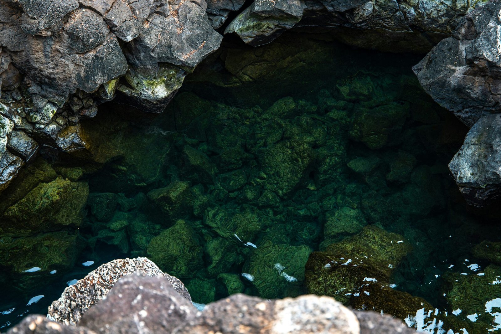 rafael idrovo espinoza hIHZ9pfdjvk unsplash scaled