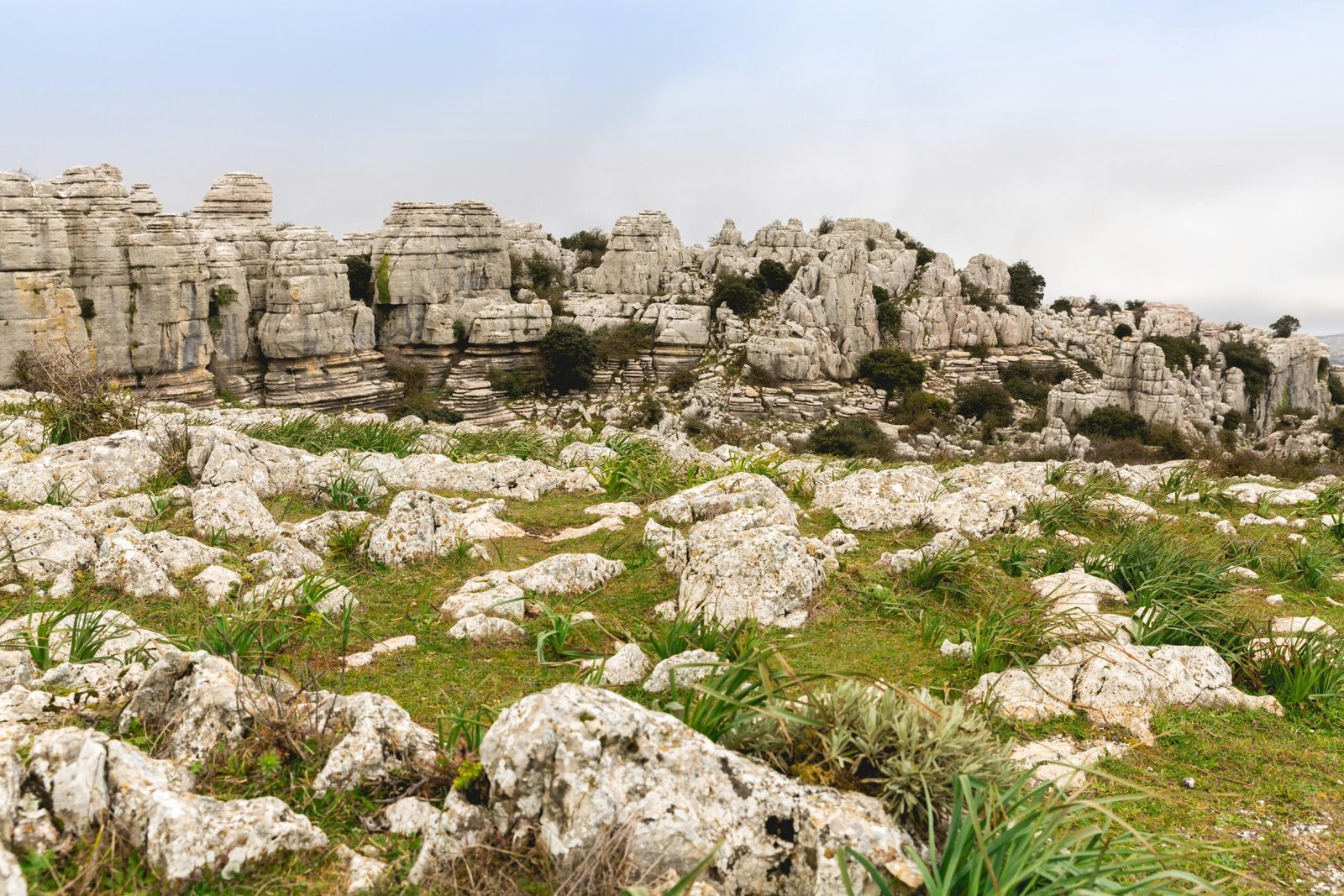 pexels g cicconeto 2152098123 33688115 scaled