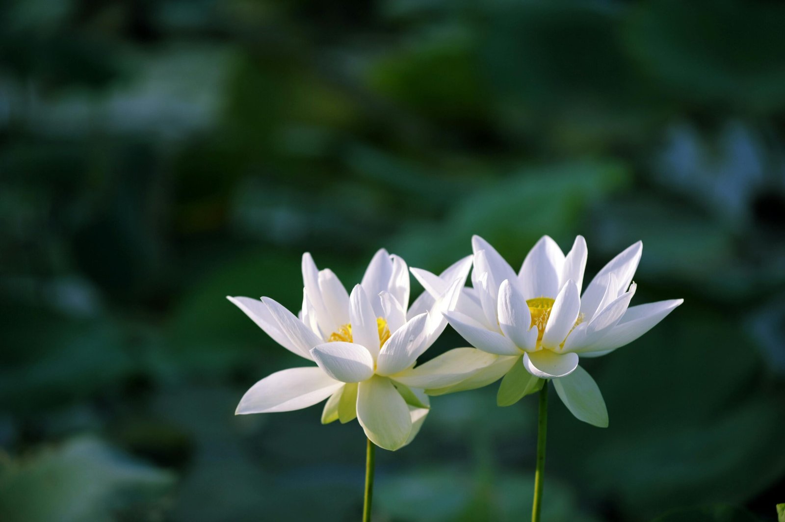 fin de semana valencia