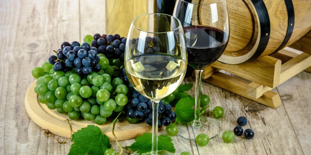 Catas de vino