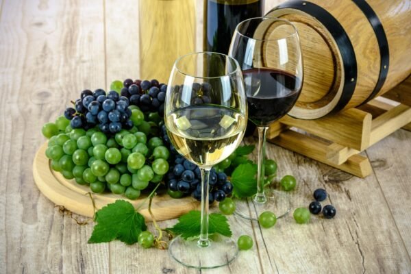 Catas de vino